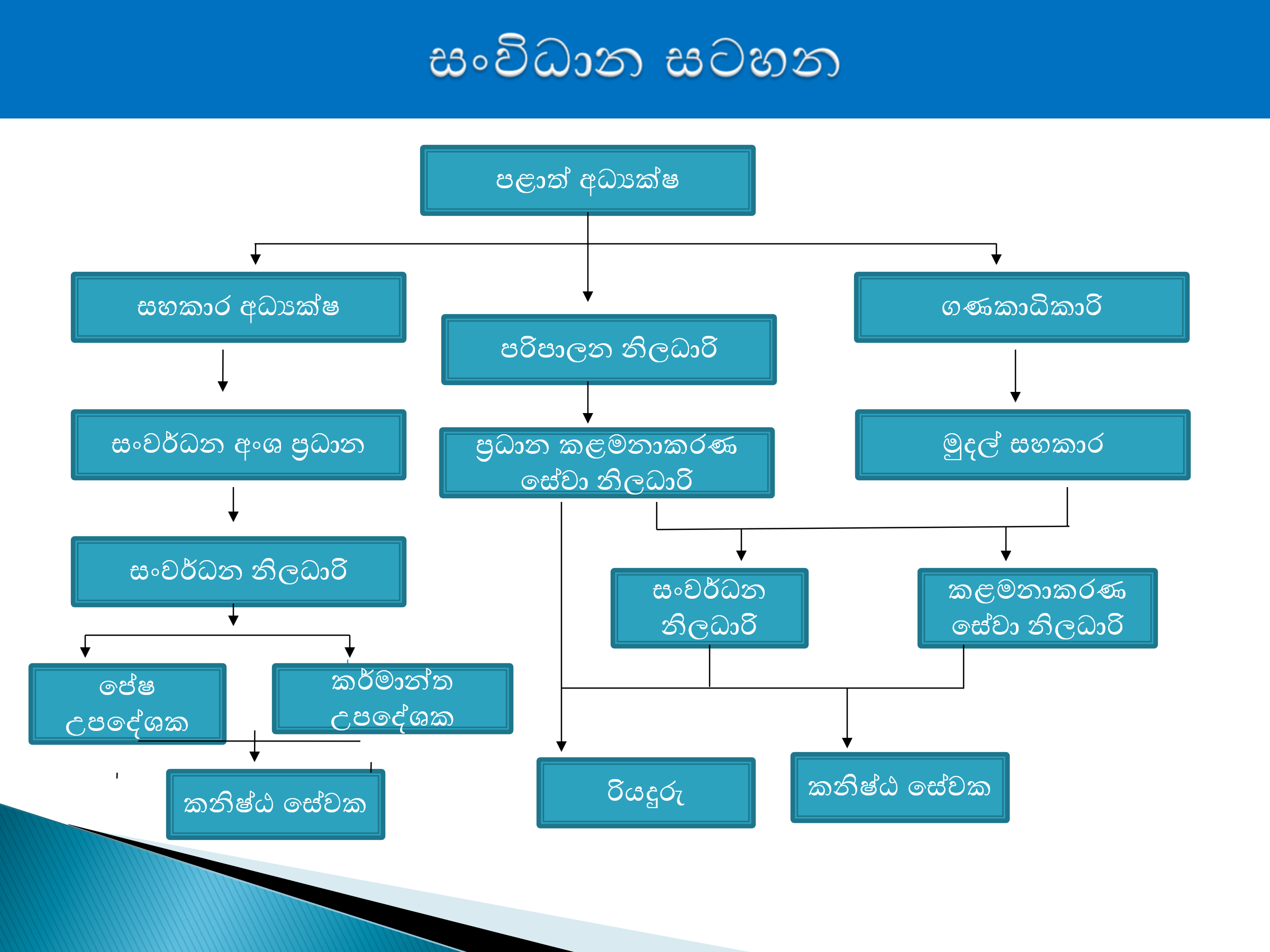NWP Industrial Development Department Organizational Chart